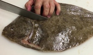 多宝鱼如何清洗 多宝鱼如何清洗干净