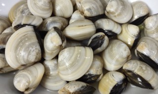 白贝如何清洗（白贝如何清洗视频）