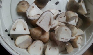 如何清洗草菇 如何清洗草菇才干净