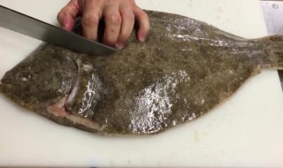 如何清洗多宝鱼（如何清洗多宝鱼清蒸的做法）