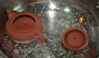 如何清洗新紫砂壶（如何清洗新紫砂壶视频）