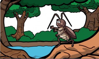 抖音灭蟑螂方法（抖音去蟑螂的妙方视频）