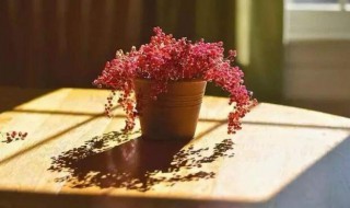 越看越宽心的10句话（越看越宽心的10句话是什么）