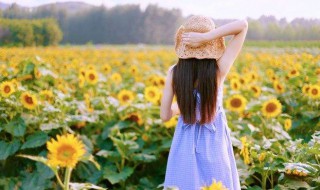 时间会证明一切的短句 时间会证明一切的短句歌词