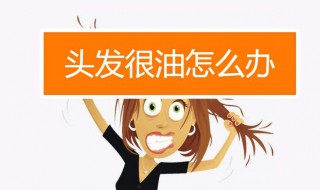 头发出油怎么办好 头发出油咋整