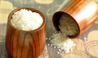 米生飞蛾怎么处理