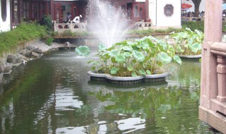 水肥起泡沫怎么处理（水肥咋办）