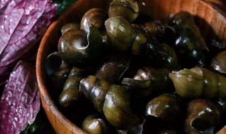 螺去沙的方法 螺去沙泥的方法