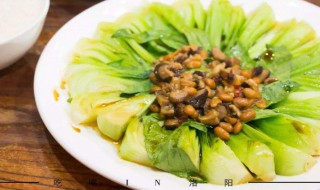 炒青菜保持绿的方法（青菜炒后怎么样保持绿色）