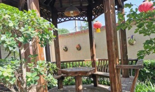 庭院驱鸟的方法 院子里怎么驱鸟