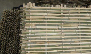 竹片有蛀虫怎么处理（竹片有虫子怎么去除）