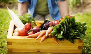 萝卜叶有刺怎么处理 萝卜叶上的刺有毒吗