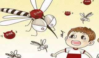 怎样自己做捕蝇器