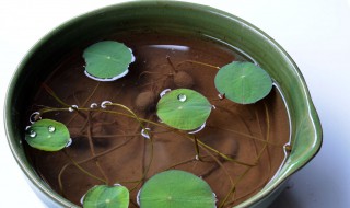 怎样做荷花的营养液 怎样做荷花的营养液呢