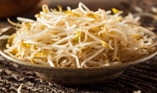 豆芽的自制方法 豆芽的自制方法视频