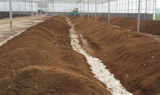 育苗土块的方法 育苗土块怎么用