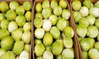 香瓜的贮存方法 香瓜如何储存时间最长