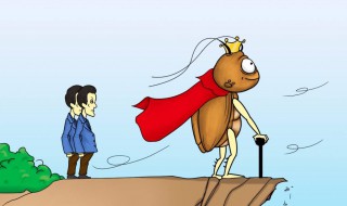 蟑螂喜欢什么样的环境（蟑螂喜欢什么样的环境怕冷么）