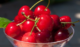 嫁接樱桃的几种方法 嫁接樱桃的几种方法图片