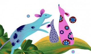 怎么处理老鼠爬过的痕迹 怎样去除老鼠爬过地方的气味