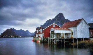 手机自己拍怎么拍好的照片（手机拍照拍自己怎么拍）