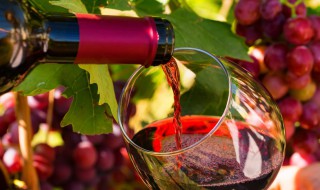 红酒的知识（红酒的知识点）