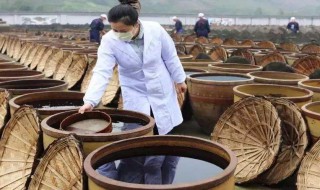 醋吃多了会怎么样 醋吃多了会怎么样幽默