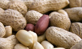 为什么叫落花生 花生为什么叫落花生