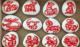 十二属相的特点是什么