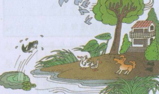 地震前有哪些异常征兆（地震前有哪些异常征兆图片）