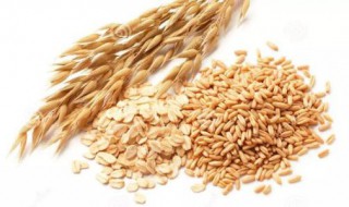 谷麦制作方法 谷麦制作方法视频