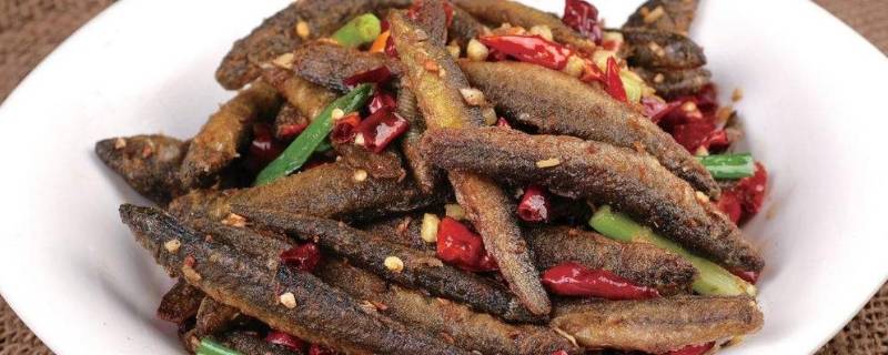 冬天放生泥鳅能活吗 零下放生泥鳅鱼能活吗