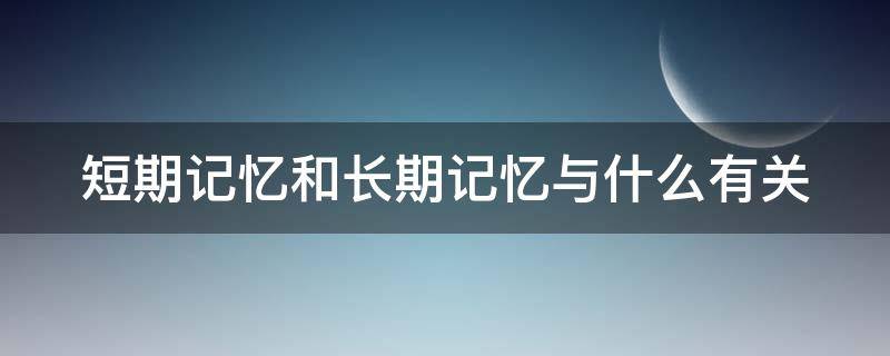 短期记忆和长期记忆与什么有关（短期记忆和长期记忆分别与什么有关）