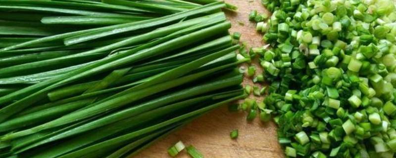韭菜不见光就是韭黄吗 十种不需要阳光的蔬菜