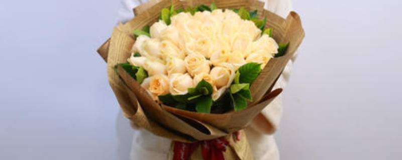 33朵香槟玫瑰代表什么意思（33朵红玫瑰花语是什么意思）