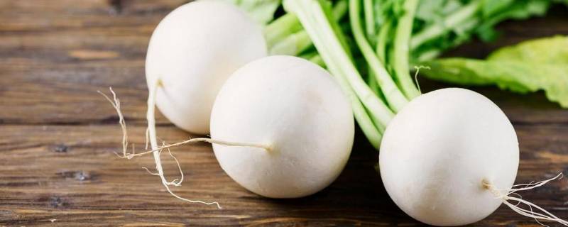 蛮茎是什么菜（蔓菁图片）