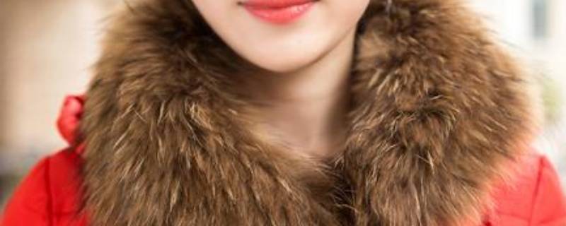 貉子毛是什么动物的毛 貉子毛是什么动物的毛档次