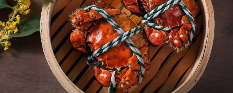 请问虾和螃蟹哪个热量高（请问虾和螃蟹哪个热量高些）