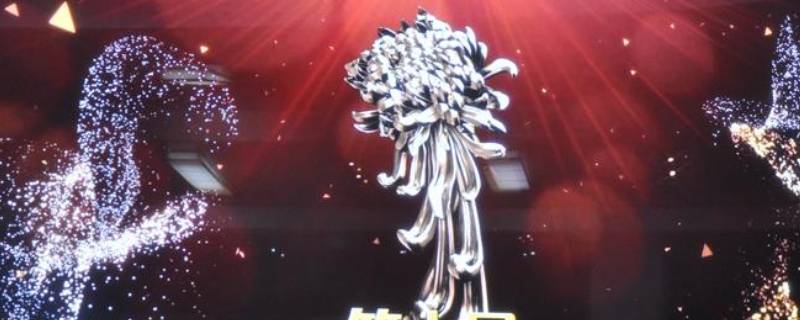 金菊花奖什么意思（金菊奖获奖名单）