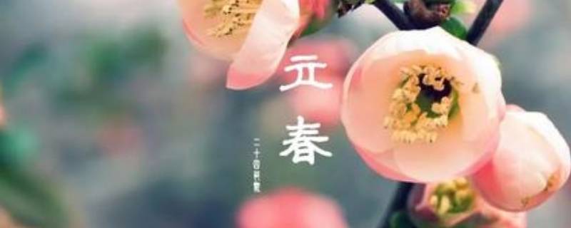 立春过后是什么节气（立春过后是什么节气）