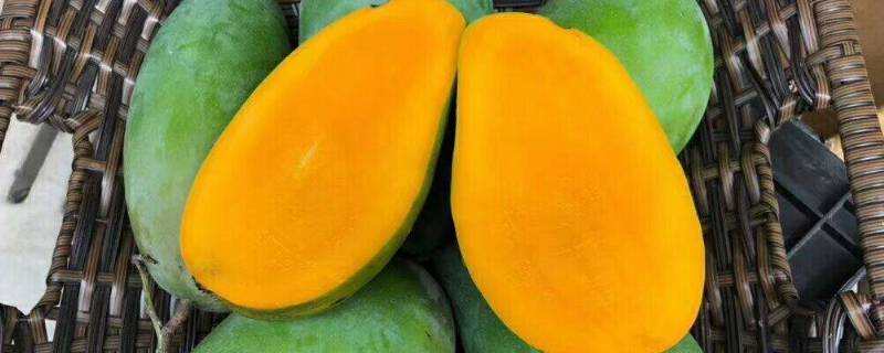 青芒硬的能直接吃吗（青芒硬的就可以吃吗）