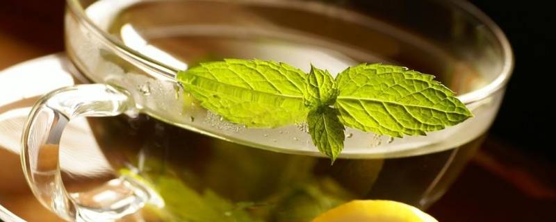 晒干的薄荷叶泡水的功效 晒干薄荷叶泡水的功效与作用