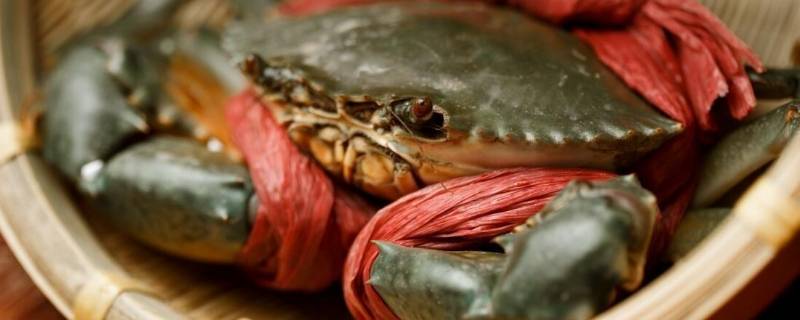 青蟹是河蟹还是海蟹（青蟹是海蟹还是淡水蟹）