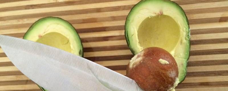 牛油果一般要蒸多久（牛油果一般要蒸多久能熟）