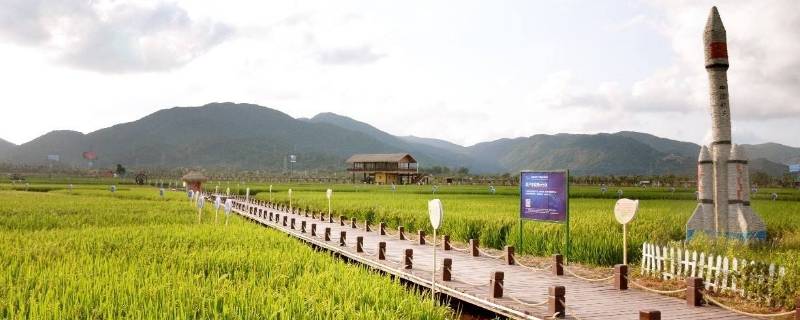 隆平稻作公园在哪里（隆平稻作公园在哪里建）
