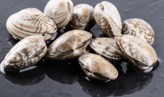 炒熟花甲可以放冰箱吗（炒熟花甲可以放冰箱吗多久）