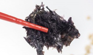 紫菜能放冰箱吗 紫菜能放冰箱冰吗