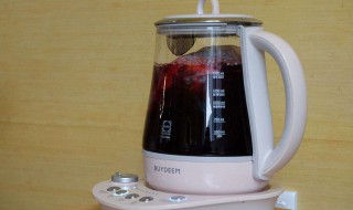 养生壶可以放冰箱吗 养生壶能放冰箱吗