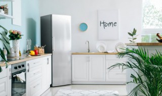 知了可以放冰箱冷冻吗 知了可以直接冷冻吗