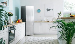 肯德基放冰箱还能吃吗（肯德基吃不下要放冰箱吗）